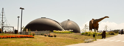 Museo del Jurasico Asturiano